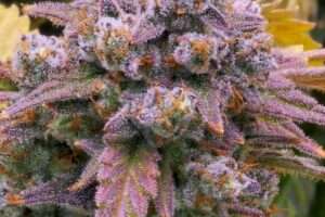 Granite Gas