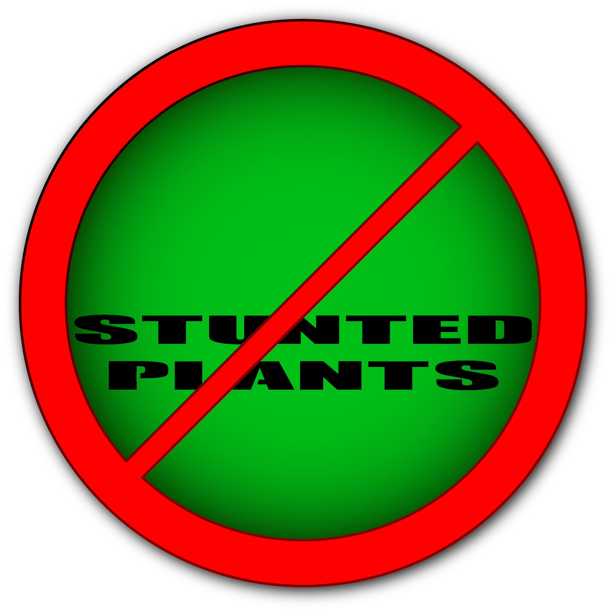 No Stunted Plants