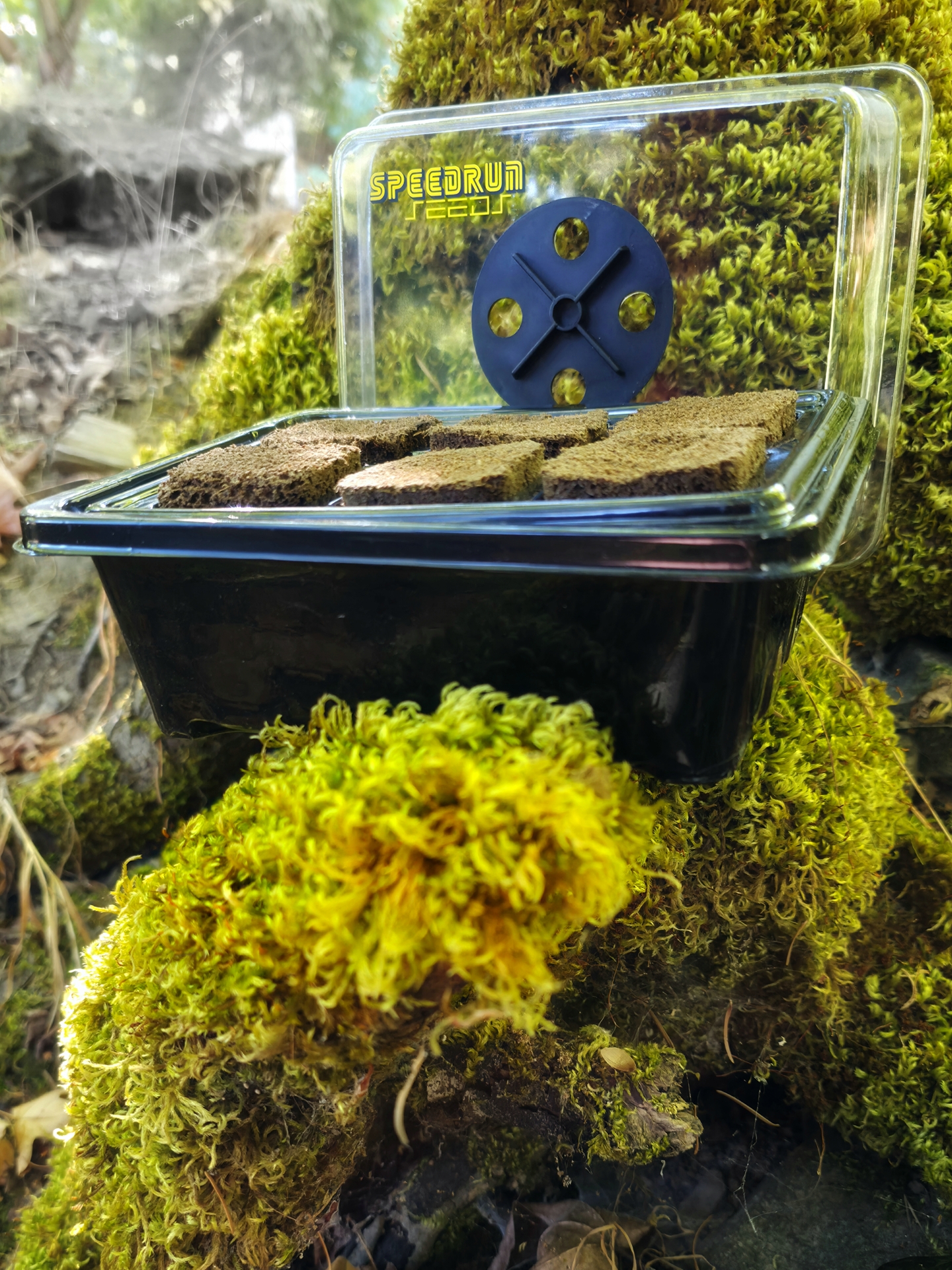 "Speed" Starting Kits - Image 4