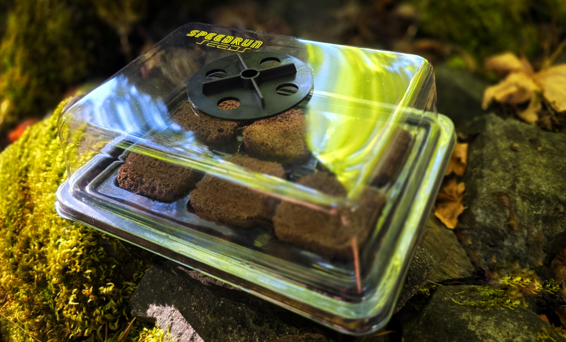 "Speed" Starting Kits - Image 2