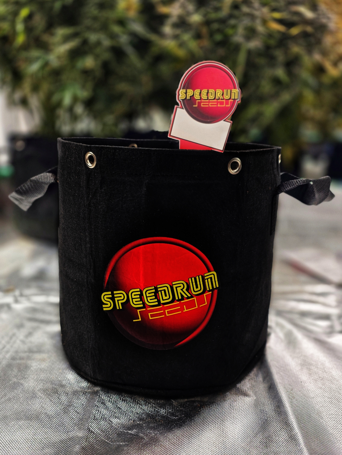 Speedrun Logo Fabric Pots - Image 3