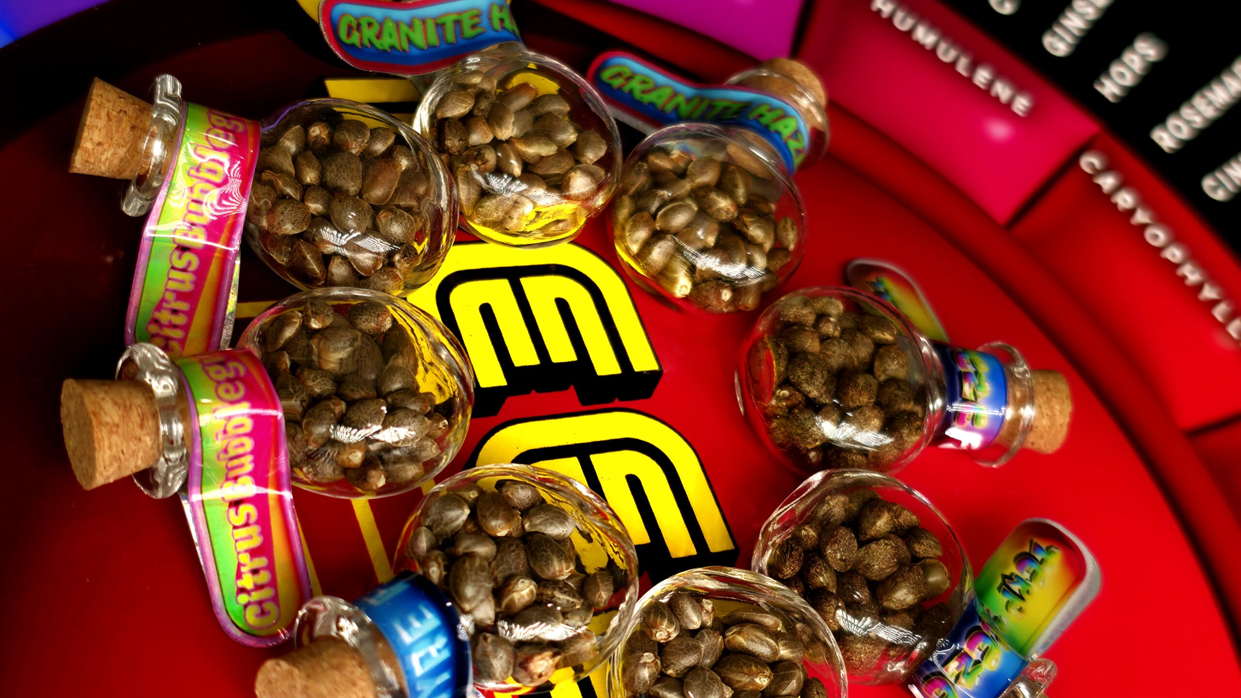 Bulk Seeds (100-Packs) - Image 3
